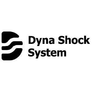 D2S logo