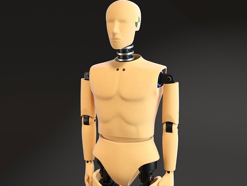 Mannequins de crash test simulant des corps d'hommes et femmes adultes